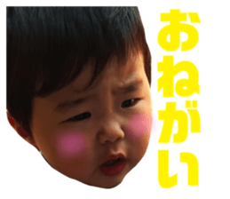 156091828