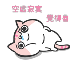 15613626