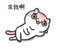 15613645