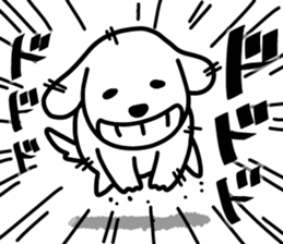 156150338