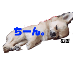 156178968
