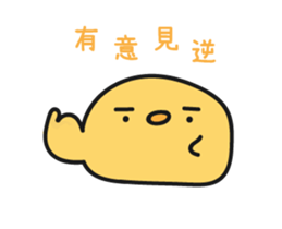 15619754