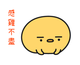 15619777