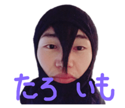 156216761