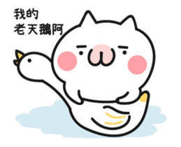 15622112