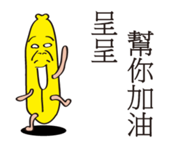 156234400