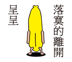 156234402
