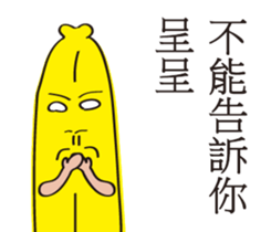 156234405