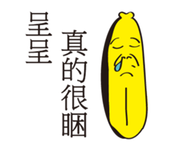156234412