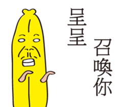 156234416