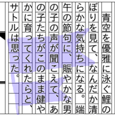 156254304