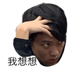 156273334