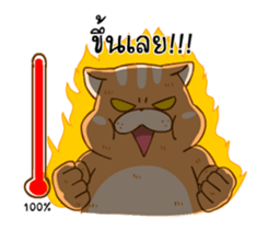 15627765