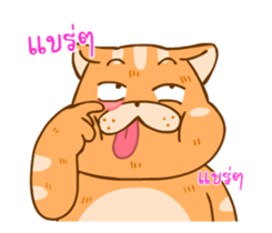 15627782