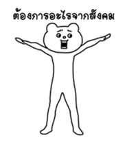 15628587