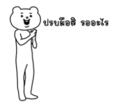 15628594