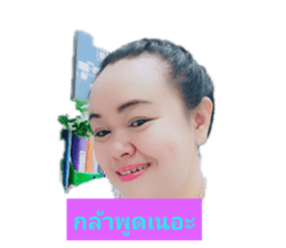 156292950