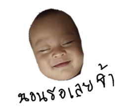 156333490
