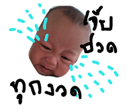 156333496