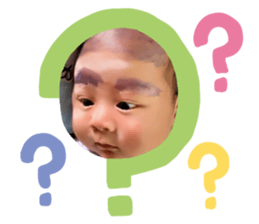 156333498