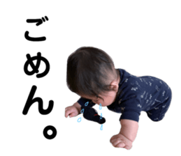 156372411