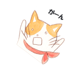 156411915