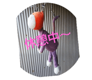 156427529