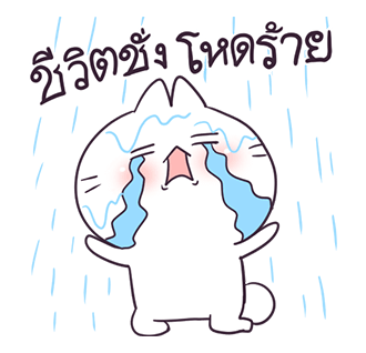 บอสทู ป๊อปอัพ รูปที่ 7