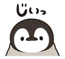 15643454