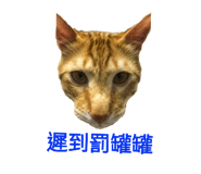 156554952