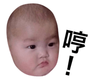156578807