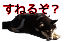 15661750