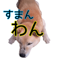 15661753