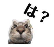 156617590