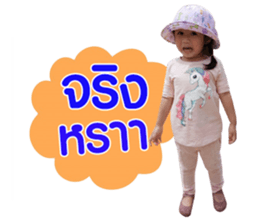 156646042