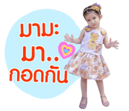 156646047