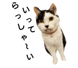 156682177