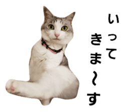 156682179
