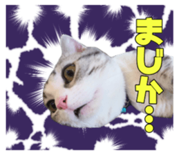 156720136