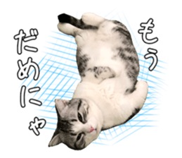 156720145