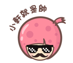 156725178