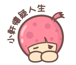 156725179