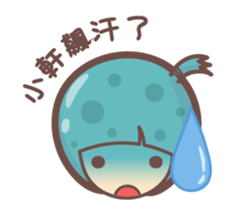 156725196