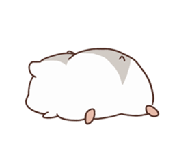 1567305