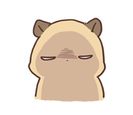 1567322