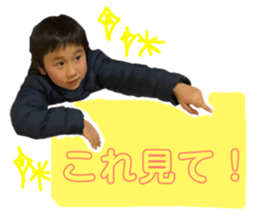 156745534