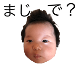 156749716