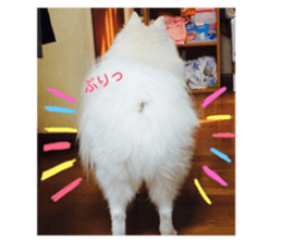 156778525