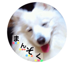156778530