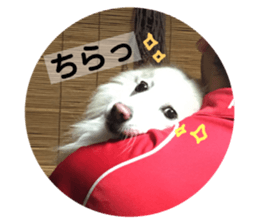 156778535